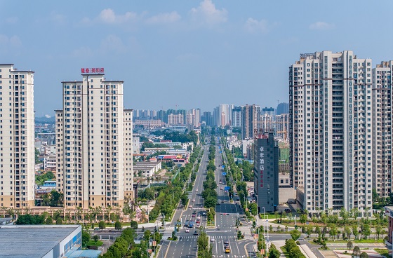 信丰县迎宾大道综合改造工程